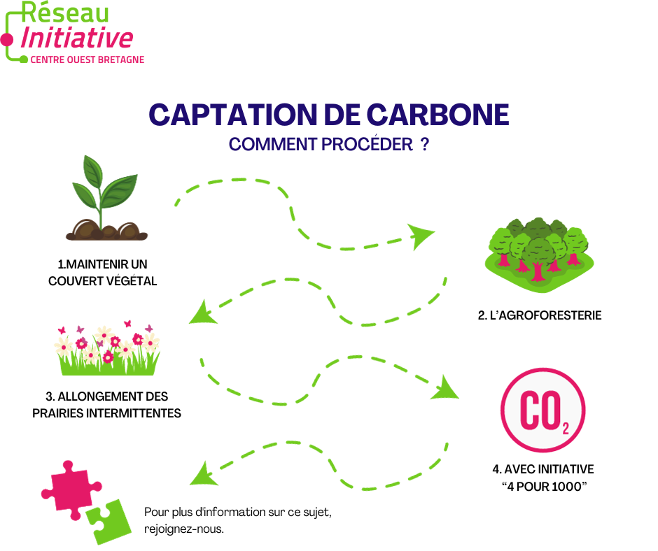 article_captation_carbone.png